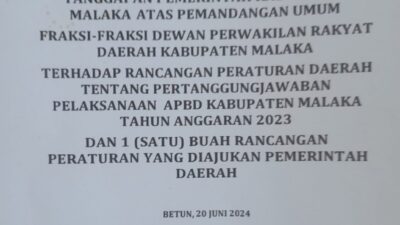 Mengurai Benang Kusut Penyertaan Modal di Bank NTT